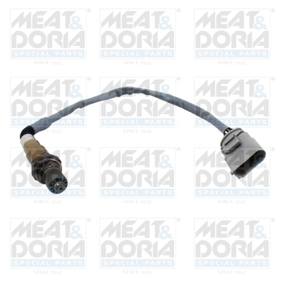 Oxygen Sensor